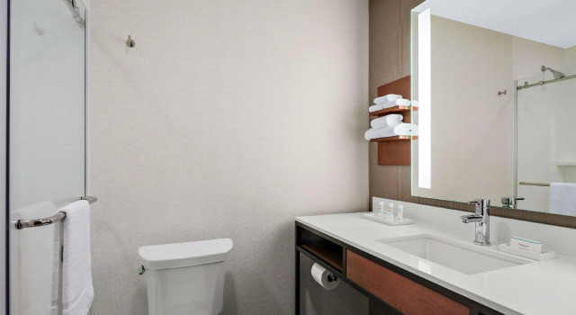 Двухместный номер Hilton Garden Inn Chicago McCormick Place