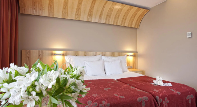 Двухместный номер Standard Hestia Hotel Europa