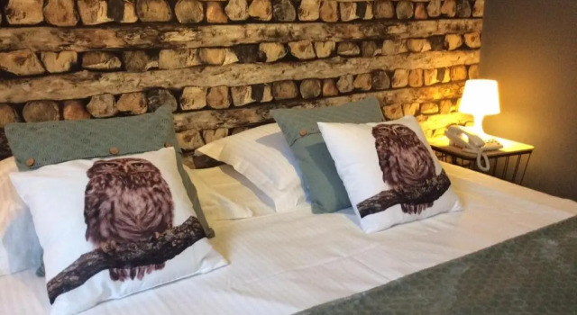 Номер Standard Boutique Hotel Butler