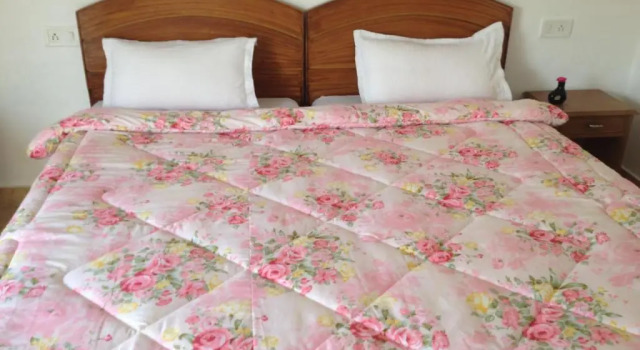 Двухместный номер Deluxe с видом на сад Prem Home Stay