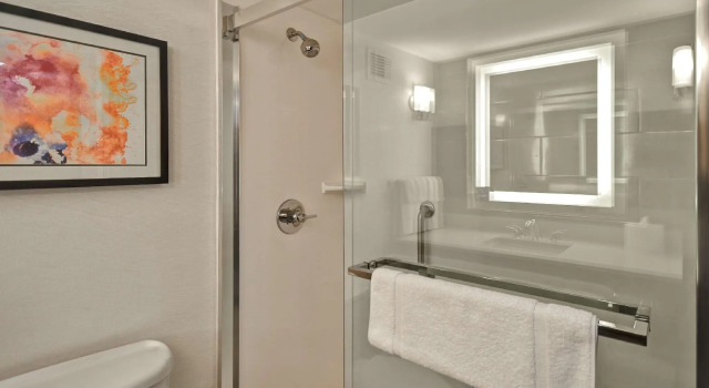 Двухместный люкс c 1 комнатой Hilton Garden Inn Detroit Metro Airport