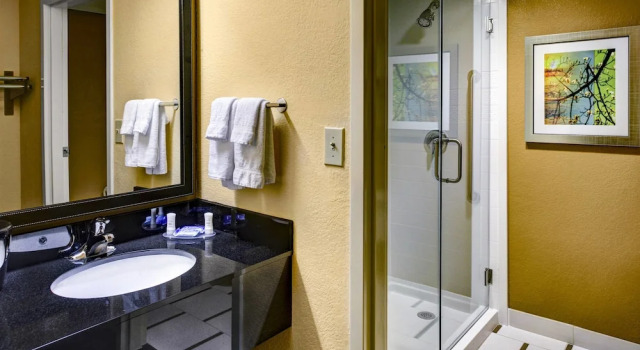 Двухместная студия Fairfield Inn and Suites by Marriott Atlanta Suwanee