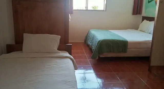 Habitación cuádruple familiar Estándar Biohostal Mindo Cloud Forest