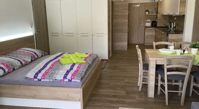 Апартаменты Standard c 1 комнатой Apartment WELLNESS Vlčková