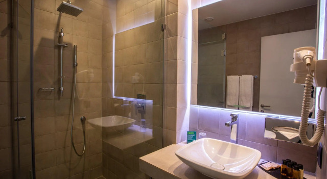 Двухместный номер Standard Отель Holiday Inn Telavi, an IHG Hotel
