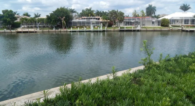 Коттедж Villa Marco Island