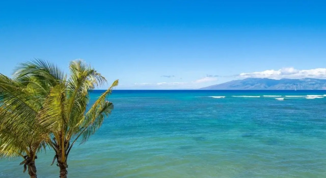 Номер Standard Kahana Reef #310 1 Bedroom Condo by RedAwning