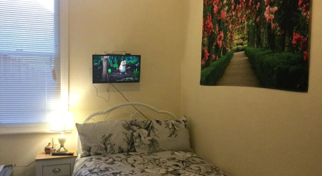 Одноместный номер Deluxe TDM Bachelot Lettings Ltd