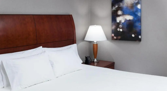 Двухместный номер Premium Hilton Garden Inn Lake Forest Mettawa