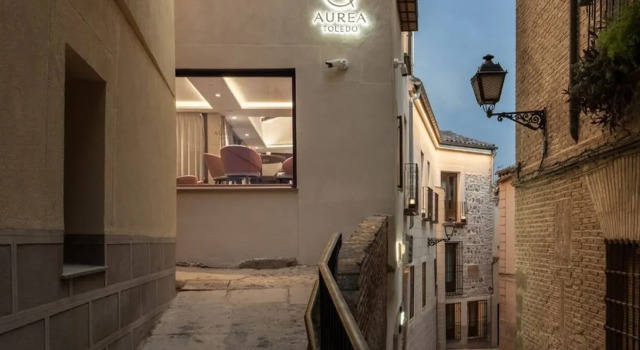 Áurea Toledo
