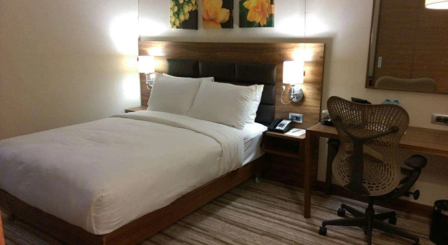 Двухместный номер Hilton Garden Inn Erzincan