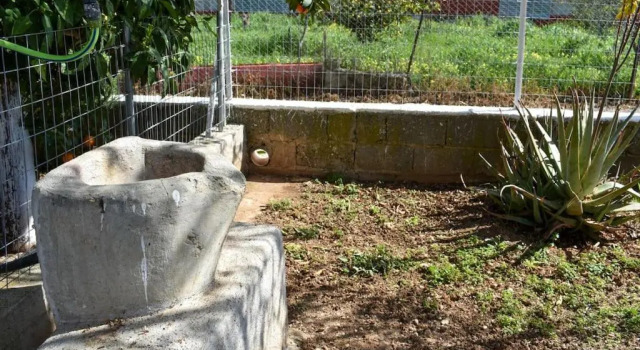 Коттедж с 2 комнатами Theofanias Home