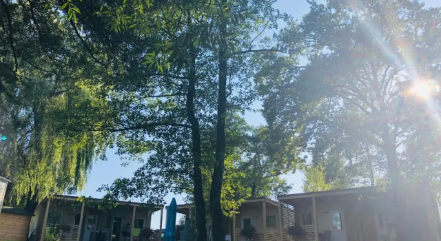 Люкс с видом на реку Holiday resort Bela krajina - Glamping and Mobile Homes