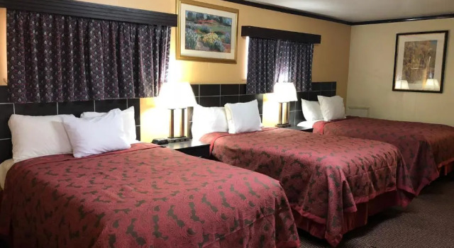 Номер Standard Flamingo Inn