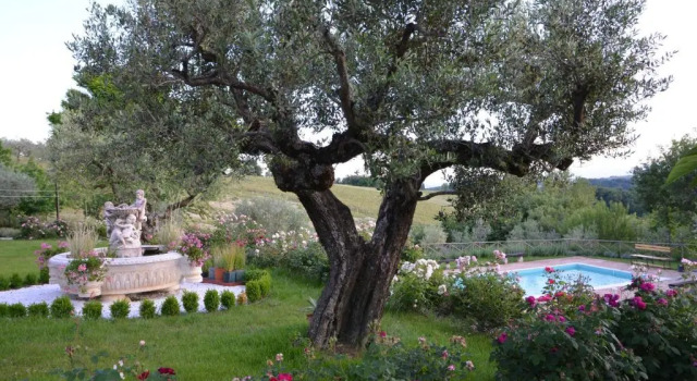 Вилла Umbrian Holiday on the enchanting hills of Todi