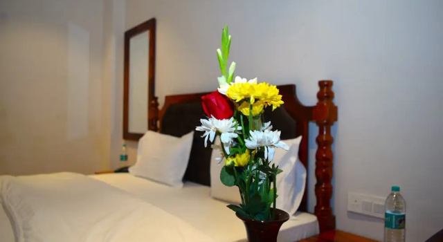 Номер Superior Hotel Mewar Mahal - Udaipur