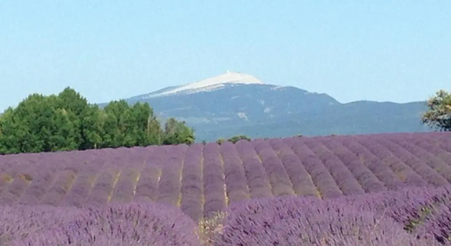 Коттедж Mas La Miellerie, Maison Authentique Provence