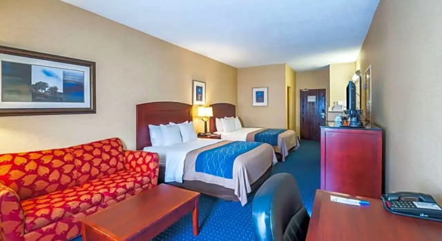 Номер Business Comfort Inn & Suites North East