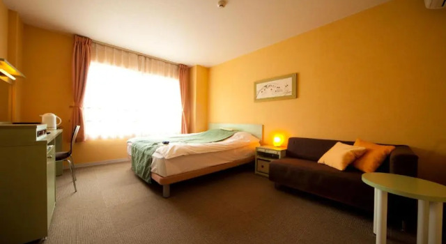 Одноместный номер Standard Hotel Aile