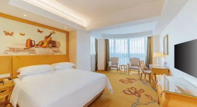 Люкс Deluxe Vienna Hotel (Foshan Lishui Diyicheng)