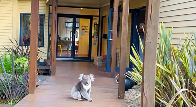 Двухместный номер Standard с видом на окрестности Sandpiper Motel Apollo Bay