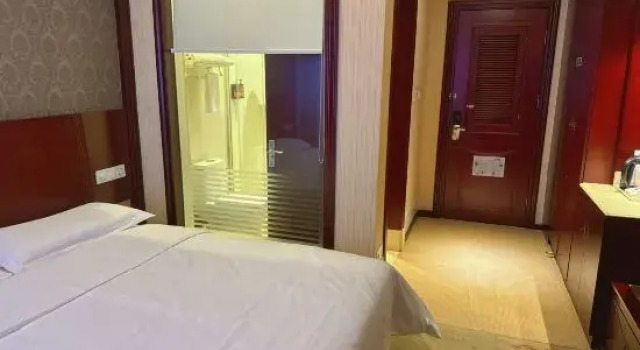 Люкс vienna hotel