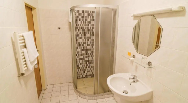 Номер Standard Hotel U Labutě