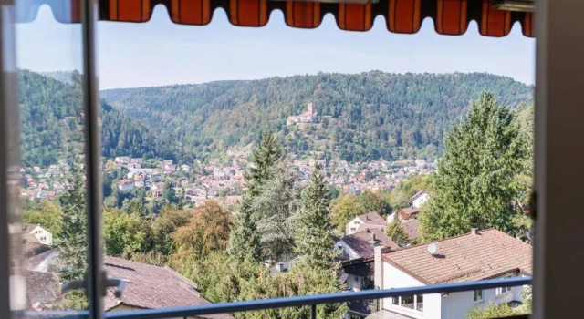 Joe's Apartments, Réserver Appartement Hôtels à Bade-Wurtemberg avec piscine, Piscine