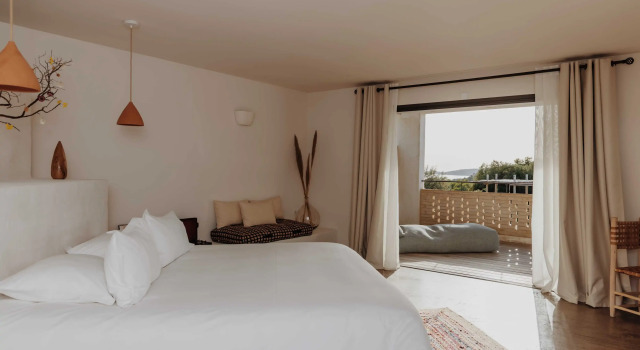 Люкс Privilege VILLA FLAKA Boutique Hôtel Wellness