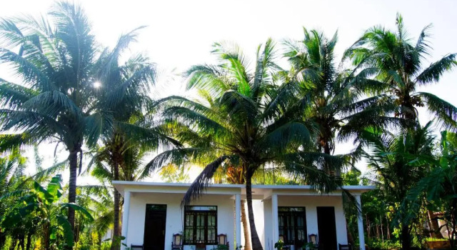 Shady mango villa