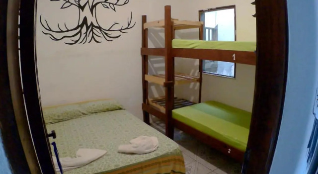 Номер Economy Hostel FreeDive Inn