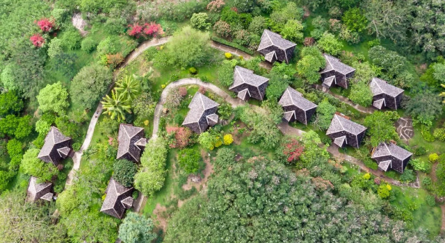 Бунгало с балконом и с видом на залив Le Nuku Hiva by Pearl Resorts