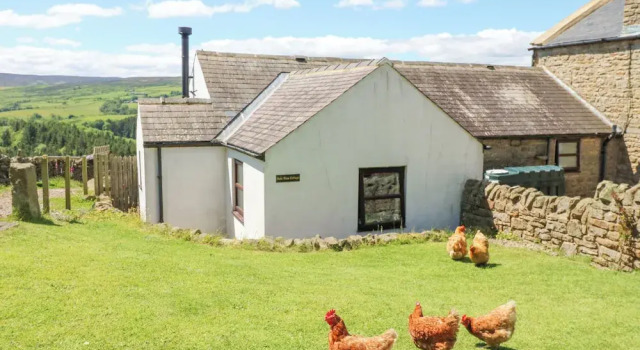 Hytte Dale View Cottage