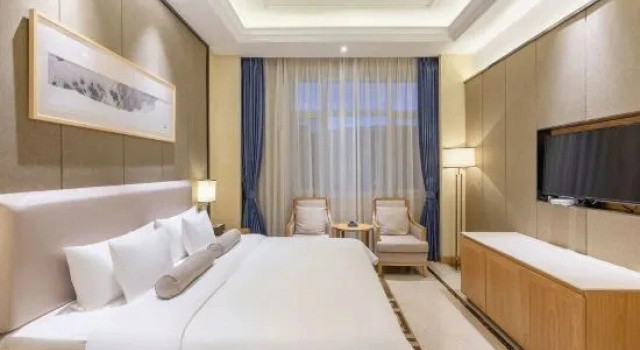 Люкс Business New Hongyun Hotel
