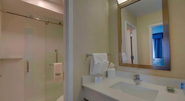 Двухместный люкс c 1 комнатой Best Western Hampshire Inn & Suites