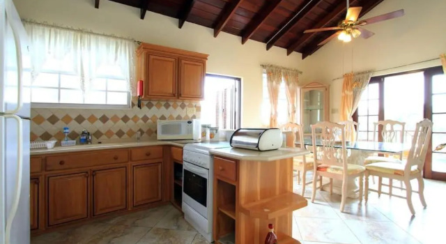 Croton Studio at Sungold House Barbados