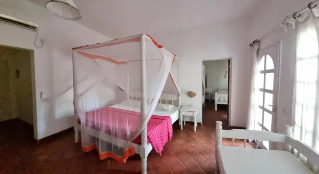 Номер Standard Family Lily Palm Resort