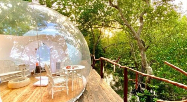 Rock and Sea Resort, Imperial Banda 1 pax - Glamping