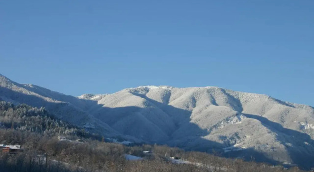 Al Poggio