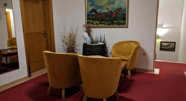 Номер Standard Guesthouse Bajc