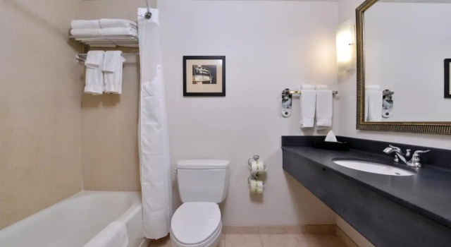 Двухместный номер Deluxe Holiday Inn Madison at The American Center by IHG