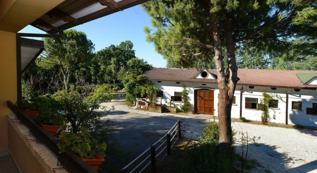 B&B Real Pidkova