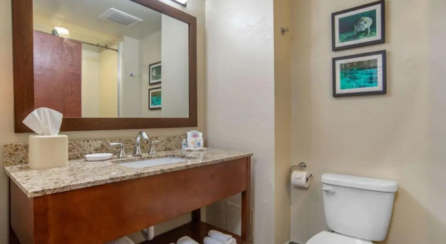 Номер Superior Comfort Suites Tallahassee Capitol - University Area
