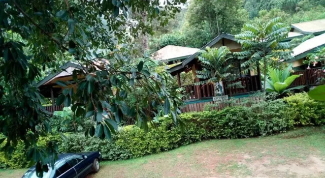 Bwindi View Lodge & Camp Site