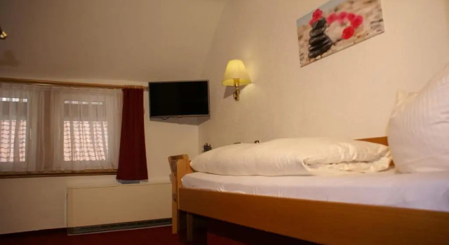 Одноместный номер Standard Hotel & Restaurant Druidenstein