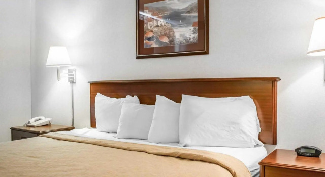 Номер Standard Quality Inn & Suites Brooks Louisville South