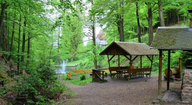Апартаменты Die Triniushütte "Thüringens schönste Aussicht"