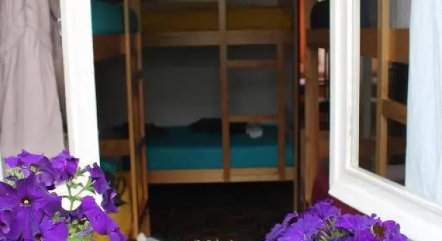 Кровать в общем номере Olive Hostel Lagos