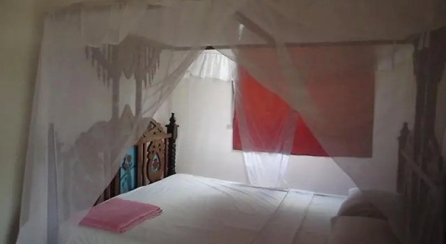 Трёхместный номер Standard Dudu Villas N Backpackers