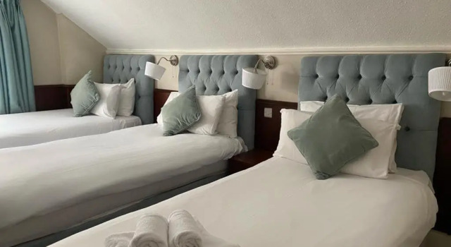 Трёхместный номер Standard Maples House Hotel